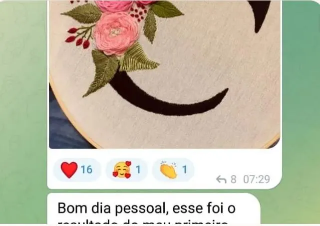 Primeiro bordado de Juliana Costa feito seguindo as aulas do curso de bordado